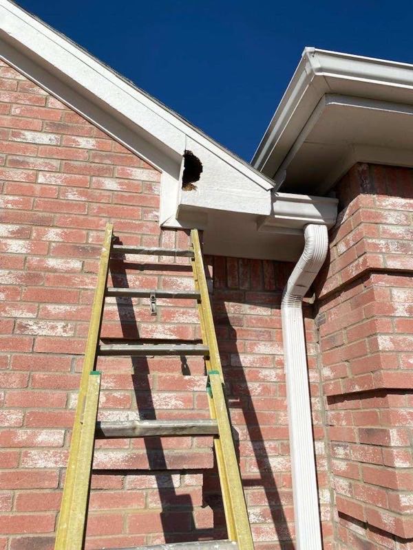 Ladder set against brick at the gutter line