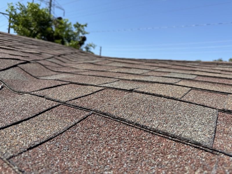 Shingle edges curling along the ridge
