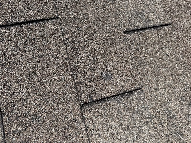 Granule loss and a crease across one shingle